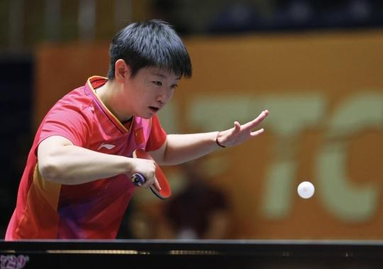 项目受到了 项目受到了