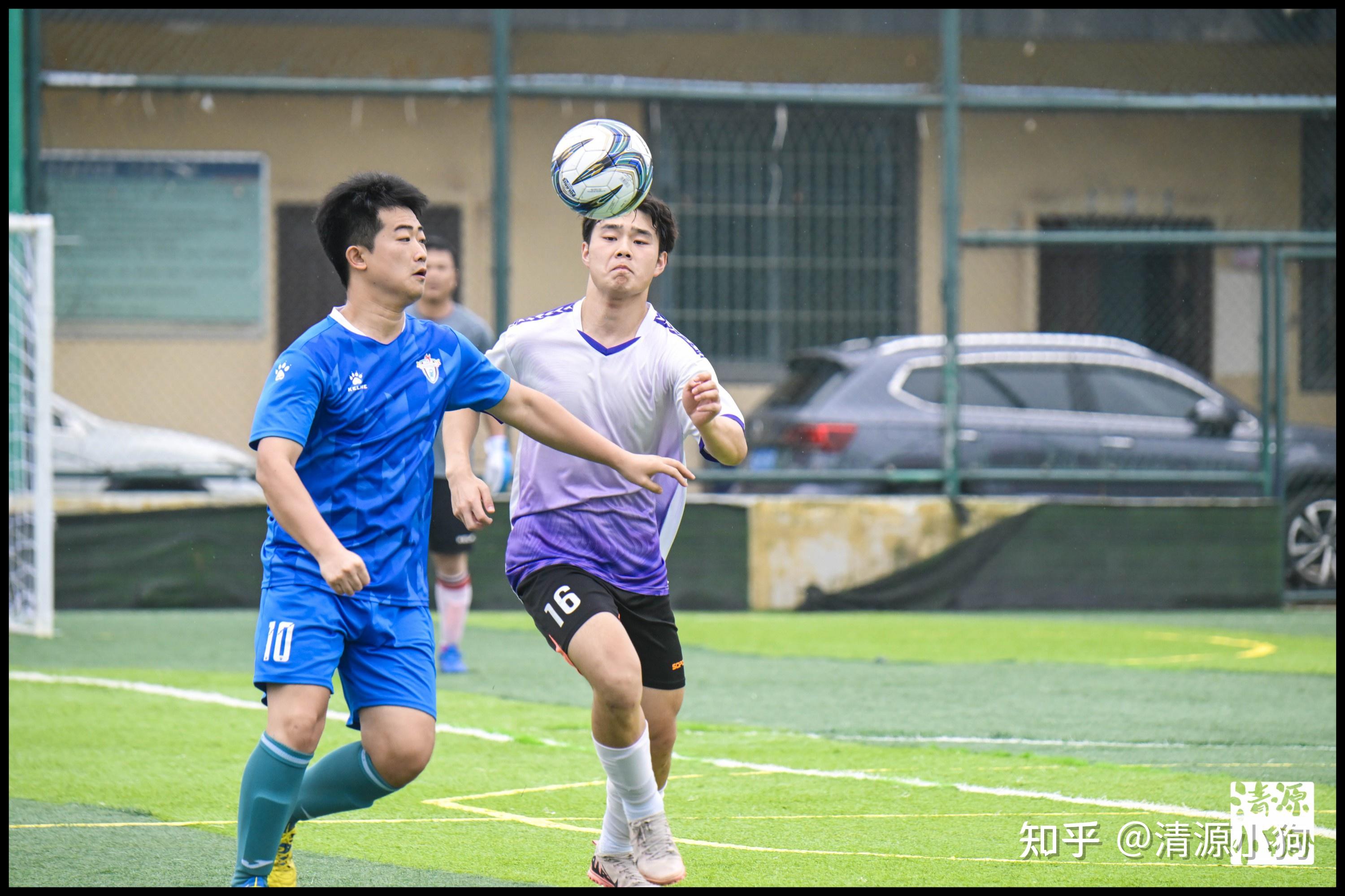 仅反应速度 仅反应速度